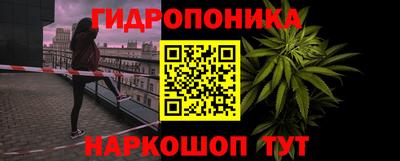 прущая мука Будённовск