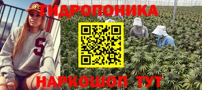 прущая мука Будённовск