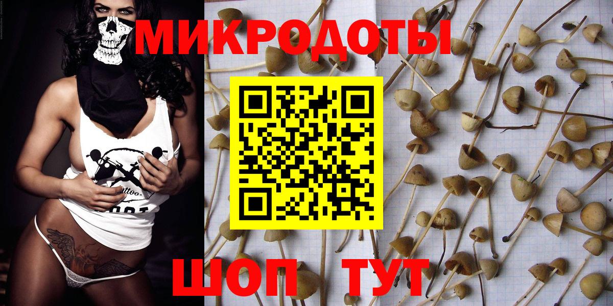 Галлюциногенные грибы GOLDEN TEACHER Волоколамск